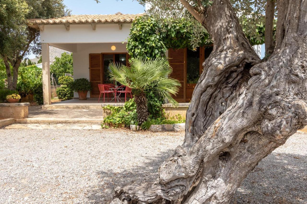 Villa La Vinya Can Oliver - Oliver Pollença Exterior foto
