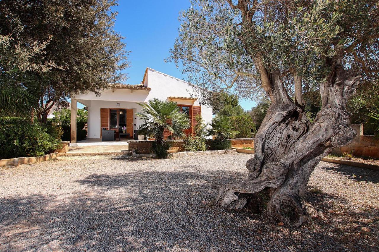 Villa La Vinya Can Oliver - Oliver Pollença Exterior foto